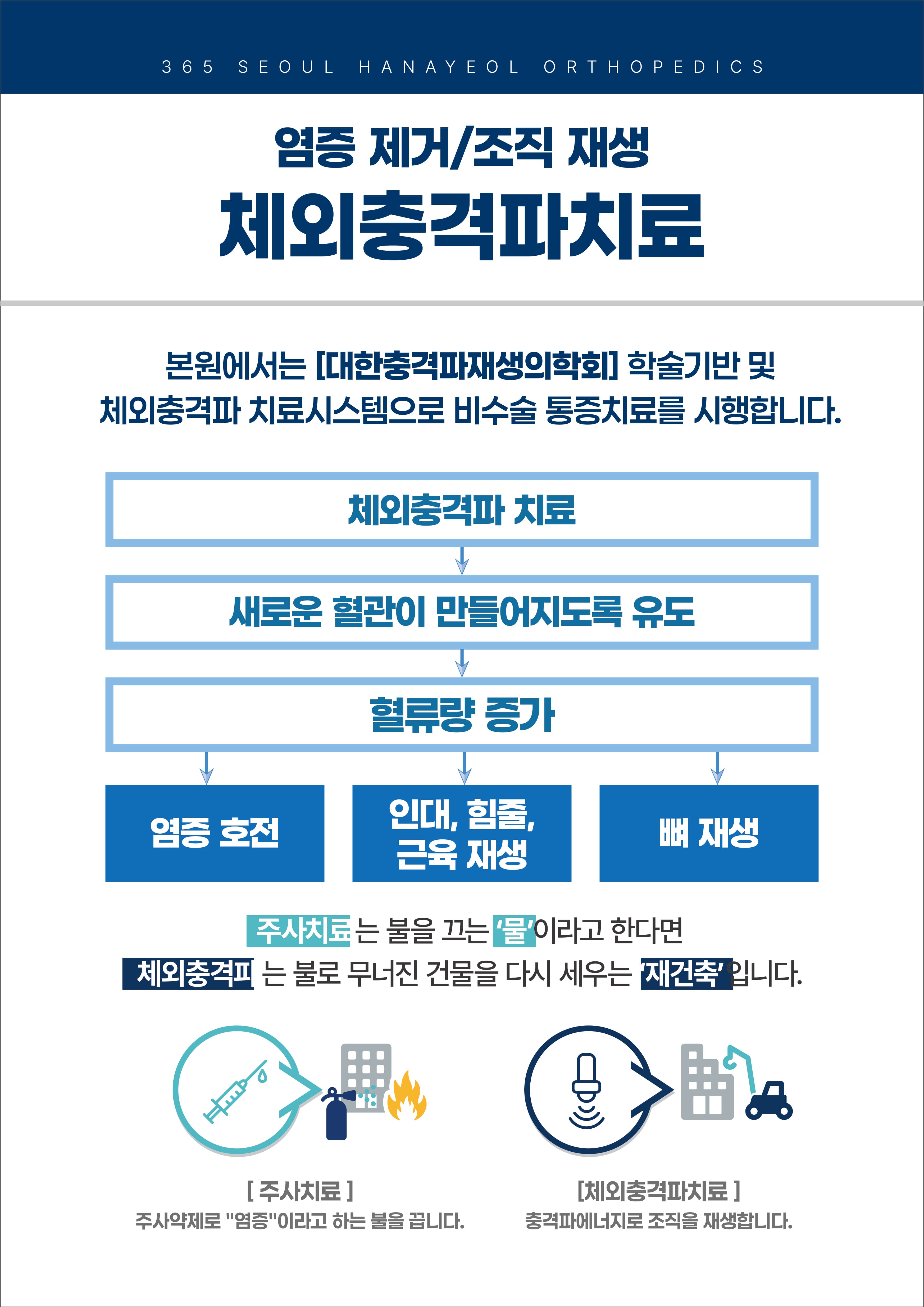 체외충격파 치료가 새로운 혈관 생성을 유도하고 혈류량 증가와 조직 재생을 돕는 과정