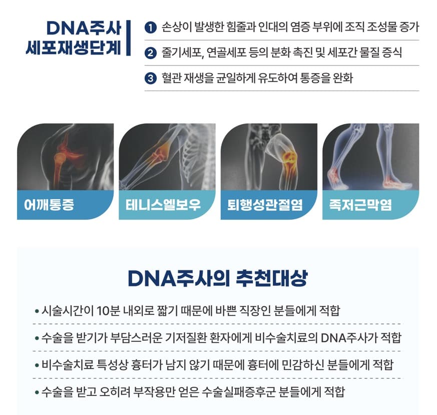 DNA 재생주사 설명 이미지